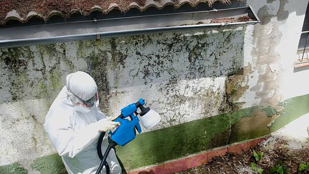 Top rated local Commercial Mold Remediation specialists in McHenry, MD